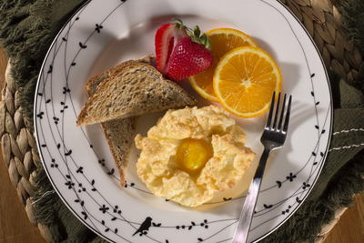 Egg Nests