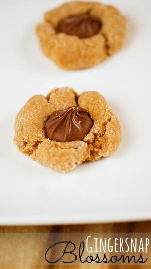 Blossoming Gingersnap Cookies Blossoming Gingersnap Cookies