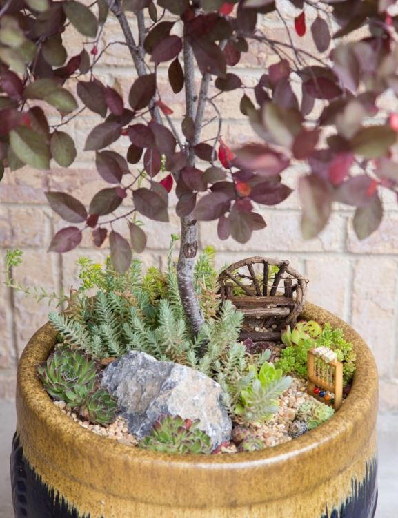 How to Make a Succulent Fairy Garden | AllFreeHolidayCrafts.com