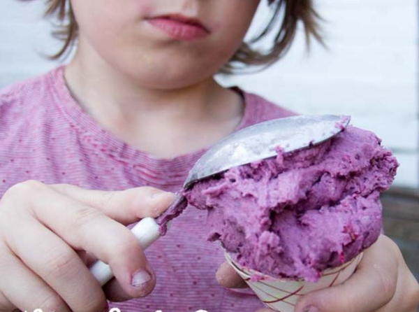 Berry Easy No Cook Playdough Recipe Berry Easy No Cook Playdough Recipe