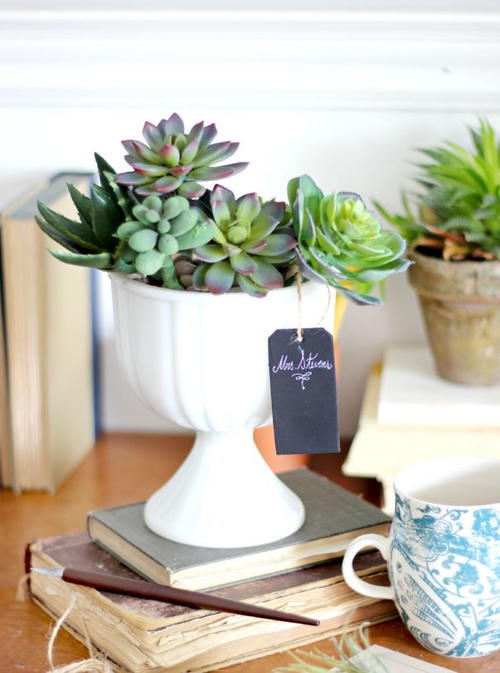 Succulent Pen Teacher Gift Succulent Pen Teacher Gift