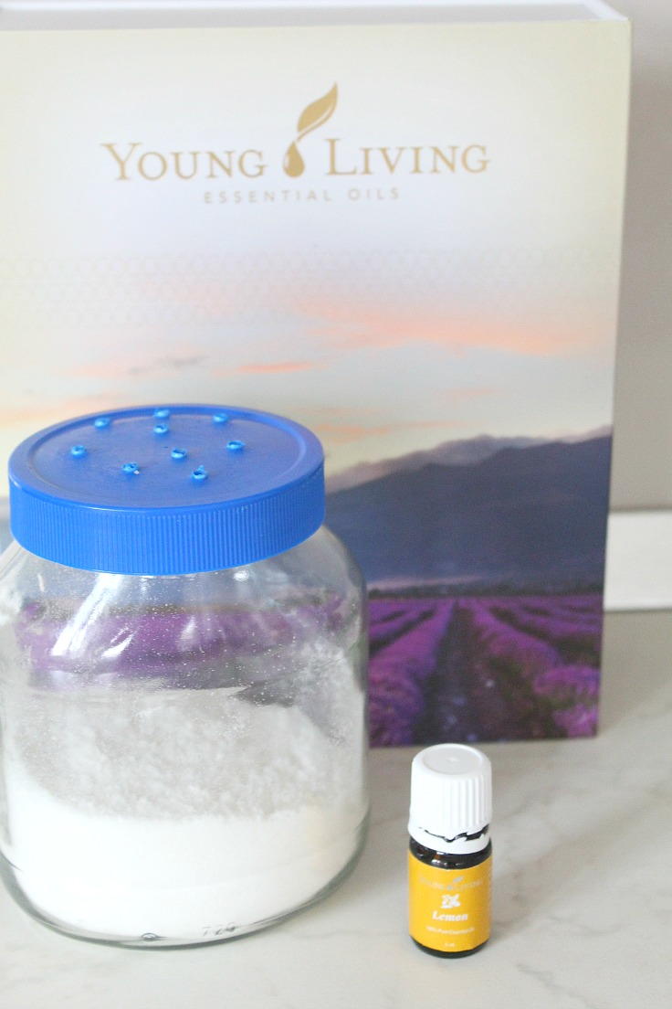 Diy Flea Repellent Recipe Diyideacenter Com