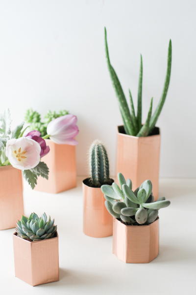 Geometric Succulent Planters Geometric Succulent Planters