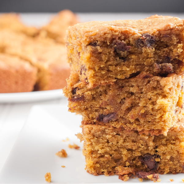 Chocolate Chip Pumpkin Blondies