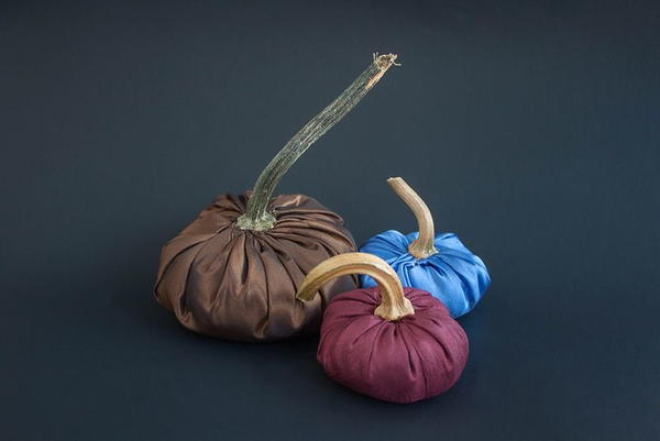 Silk Pumpkins Silk Pumpkins