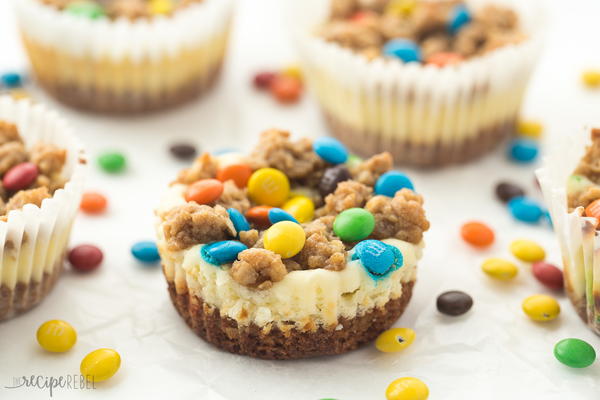 Gluten Free Monster Cookie Cheesecakes Gluten Free Monster Cookie Cheesecakes