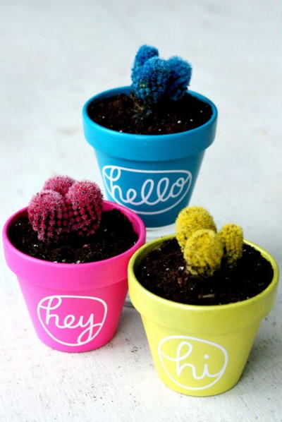 You Had Me at Hello Painted Pots