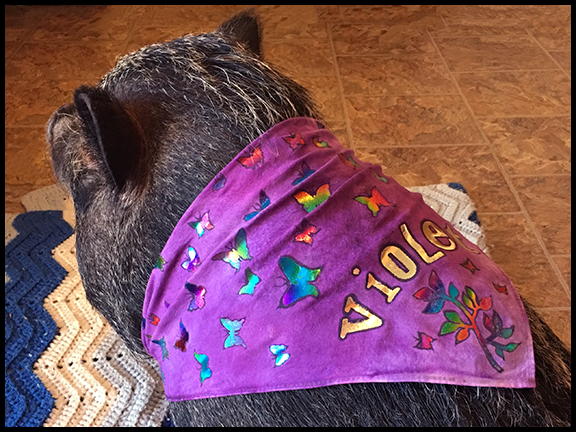 Violets Deco Foiled Scarf Violets Deco Foiled Scarf