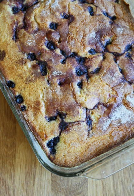 Blueberry Boy Bait Blueberry Boy Bait