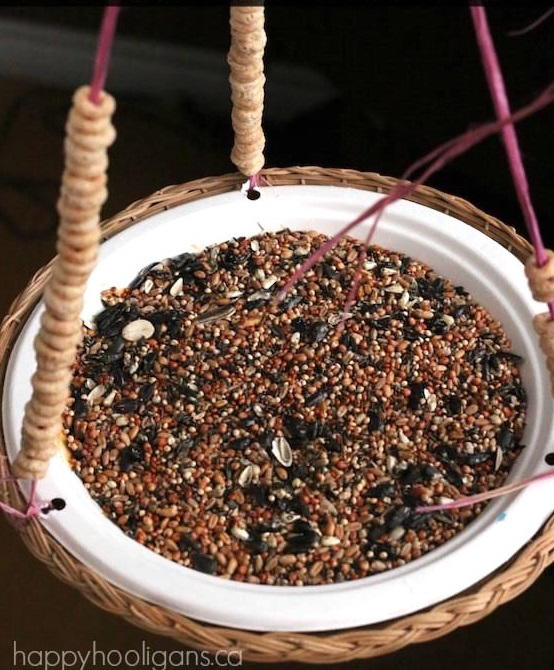 For the Birds DIY Bird Feeder For the Birds DIY Bird Feeder