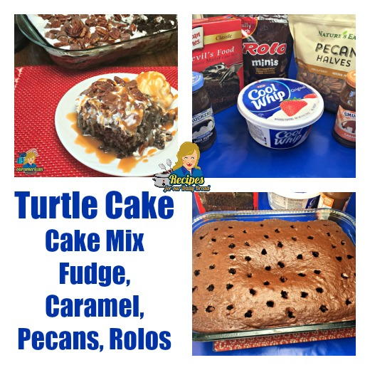 Dreamy Turtle Cake_1 Dreamy Turtle Cake_1