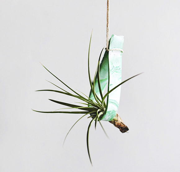 Clay Air Plant Holder
