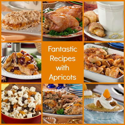 Top 12 Fantastic Recipes with Apricots