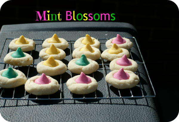Mint Blossoms Mint Blossoms