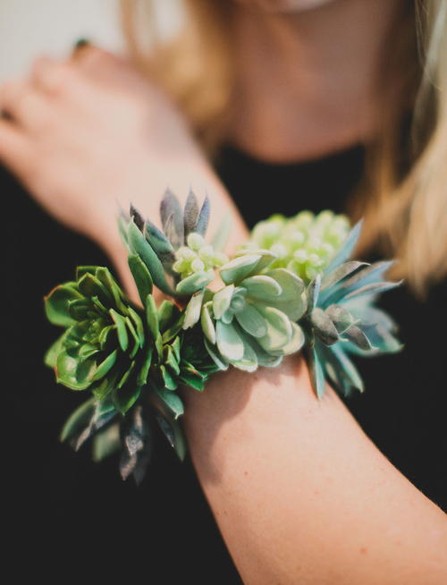 DIY Living Succulent Cuff DIY Living Succulent Cuff