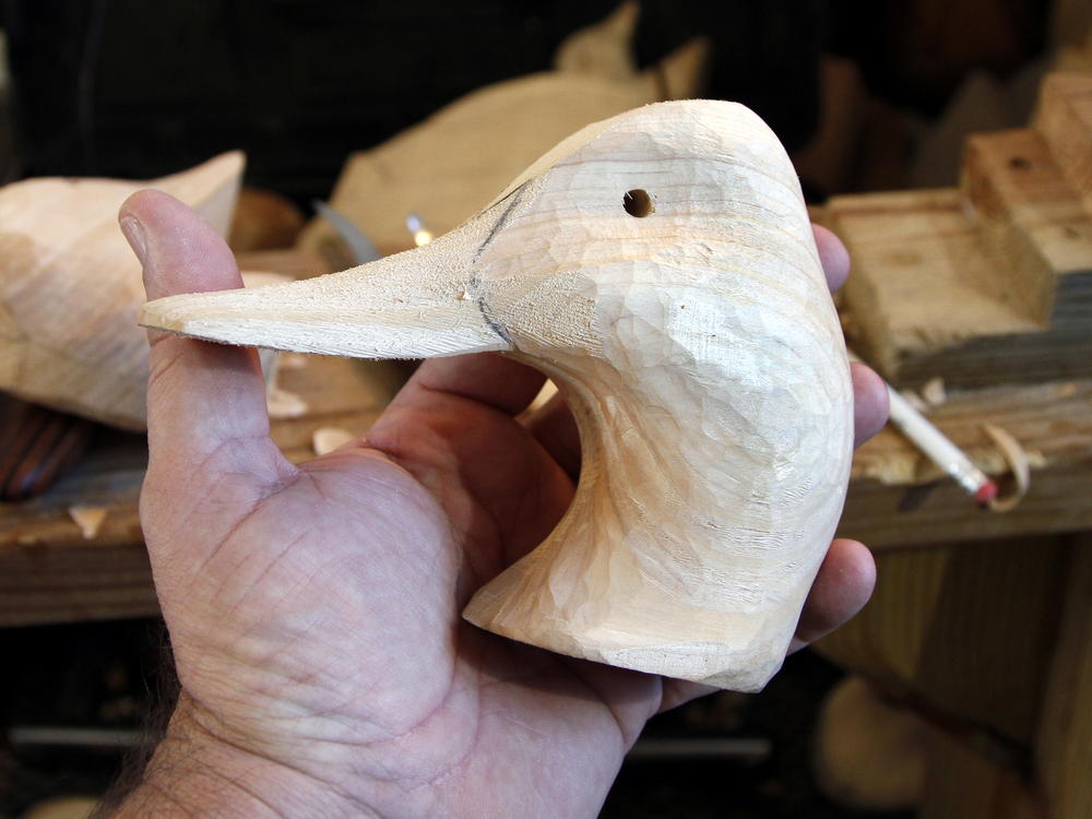 carving head canvasback demonstration wildfowl