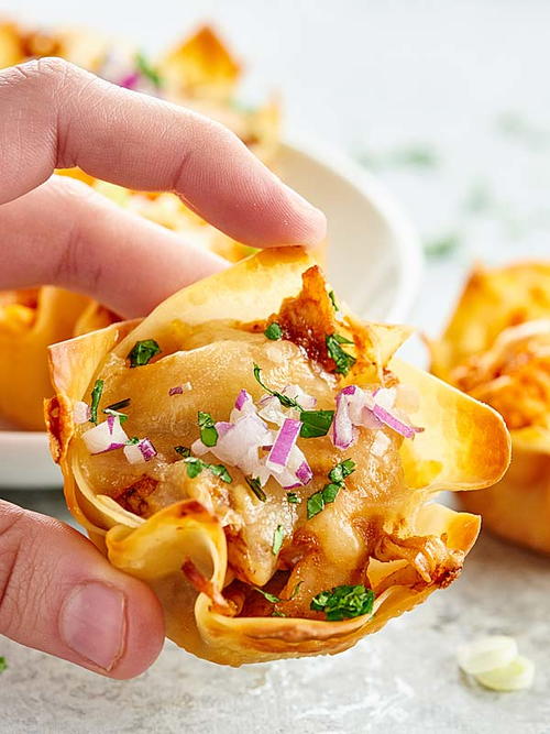 Chicken Wonton Cups Chicken Wonton Cups