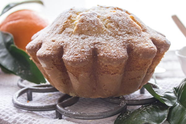 Italian Orange Cake Italian Orange Cake