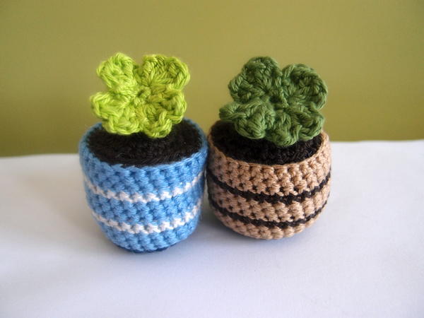 Clover in Pot Clover in Pot