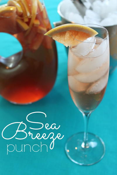 Refreshing Sea Breeze Punch Refreshing Sea Breeze Punch