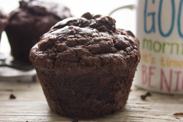 Big Double Chocolate Chip Muffins Big Double Chocolate Chip Muffins