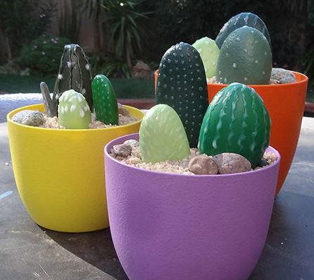 Pretty Painted Cacti Pretty Painted Cacti