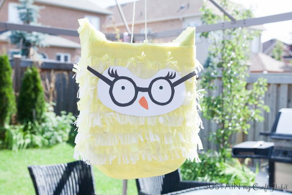 Birthday Owl Party Pinata Birthday Owl Party Pinata
