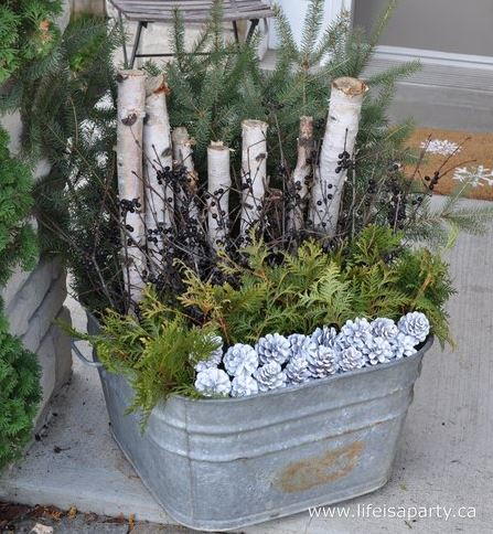 Christmassy Outdoor Planter Arrangement Christmassy Outdoor Planter Arrangement