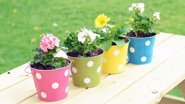 Polka Dot DIY Planters