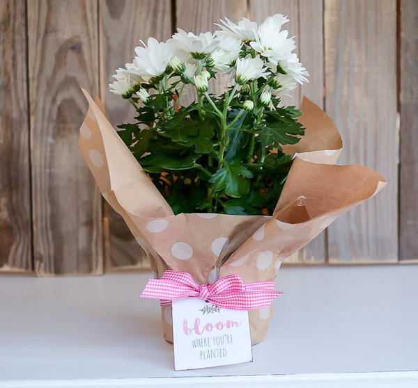 Super Easy Housewarming Gift Super Easy Housewarming Gift