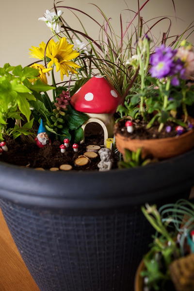 How to Make a Fairy Garden How to Make a Fairy Garden