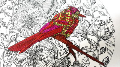 ColorMe Decals Review - Bird