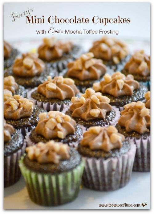 Mini Chocolate Cupcakes with Mocha Toffee Frosting Recipe