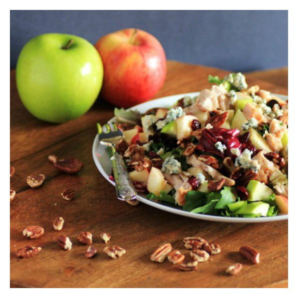 Copycat Wendys Apple Pecan Chicken Salad Copycat Wendy's Apple Pecan Chicken Salad
