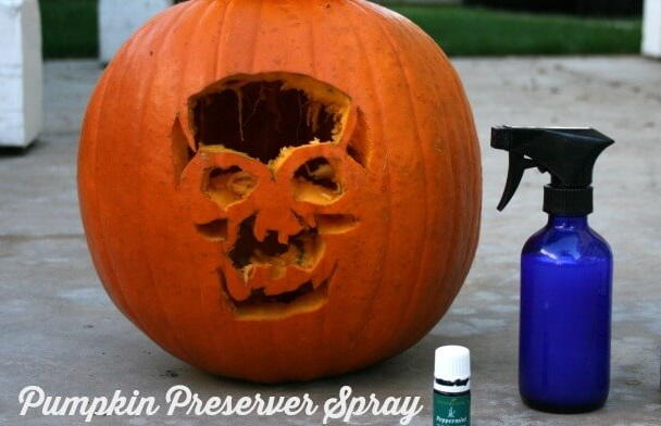 How to Preserve Carved Pumpkins How to Preserve Carved Pumpkins