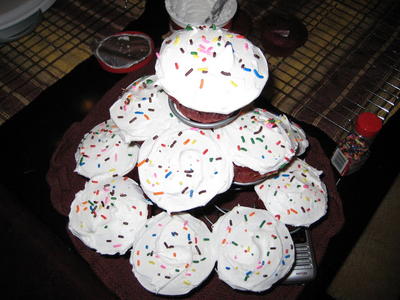 Chocolatey Cupcakes