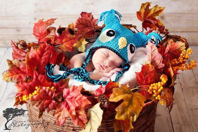 Blue Owl Baby Hat