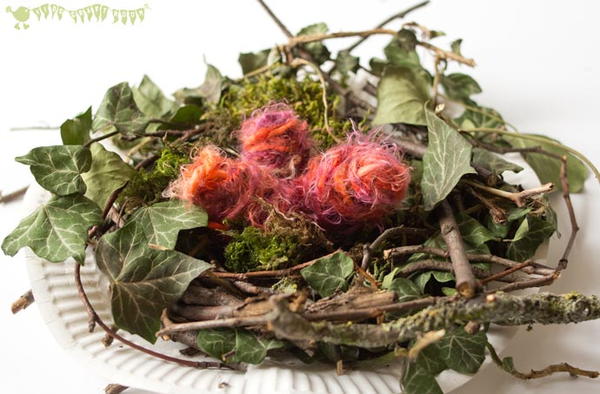 Birds Nest Project Birds Nest Project