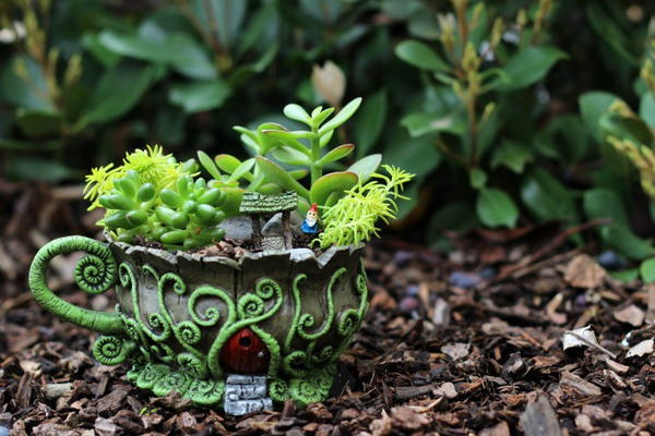 Tea Cup Fairy Garden Tea Cup Fairy Garden