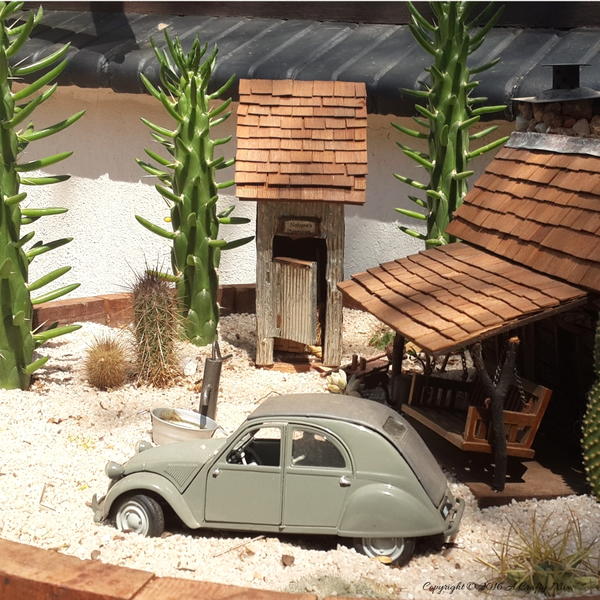 Desert DIY Fairy Garden Desert DIY Fairy Garden