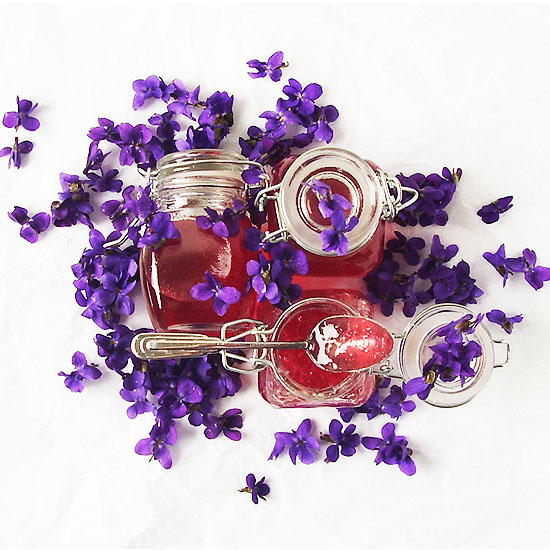 Violet Jelly Violet Jelly