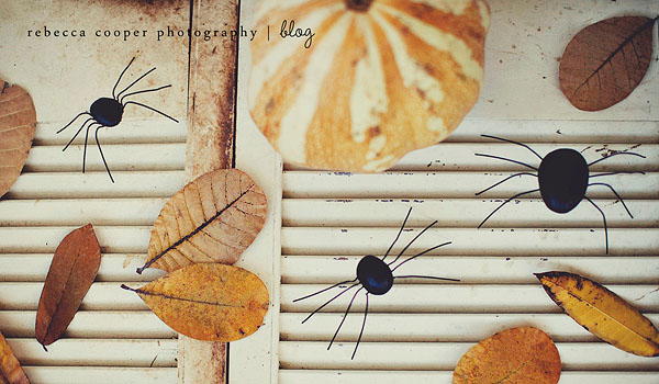 Spooky Painted Pebble Spiders Spooky Painted Pebble Spiders