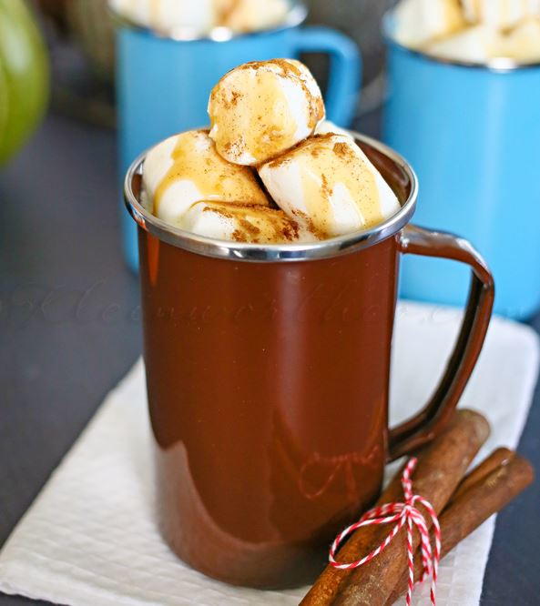 Pumpkin Pie Hot Chocolate Recipe Pumpkin Pie Hot Chocolate Recipe