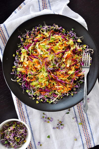 Healthy Vegetable Slaw Healthy Vegetable Slaw