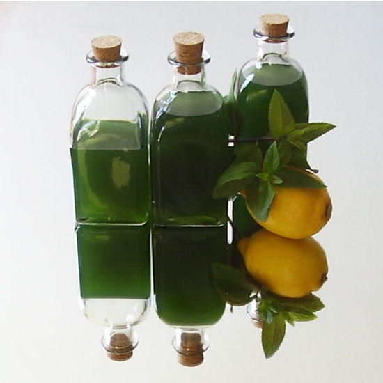 Minty Syrup Quick Version Recipe Minty Syrup Quick Version Recipe