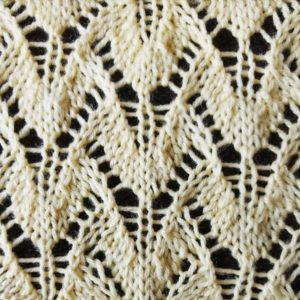 Winged Lace Stitch Pattern Winged Lace Stitch Pattern