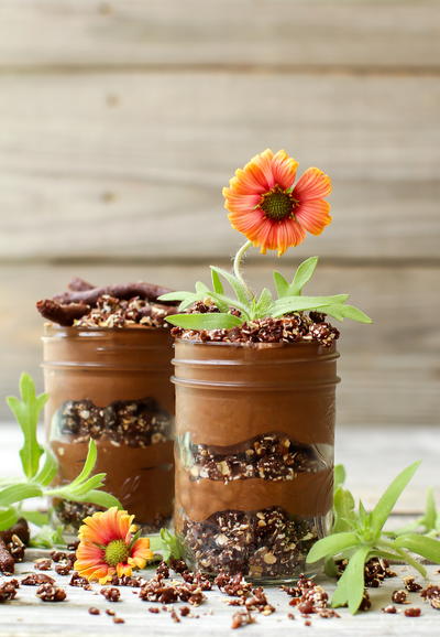 Chia Pudding Dirt Cups Chia Pudding Dirt Cups