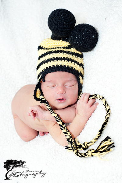 Bumble Bee Hat Bumble Bee Hat