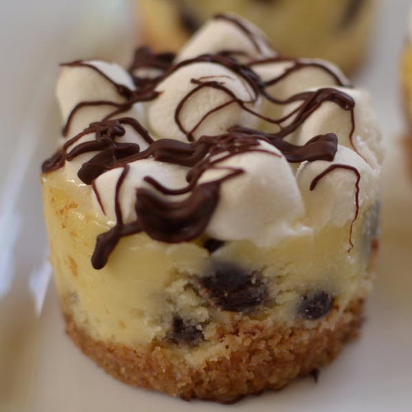 Mini S'mores Cheesecakes