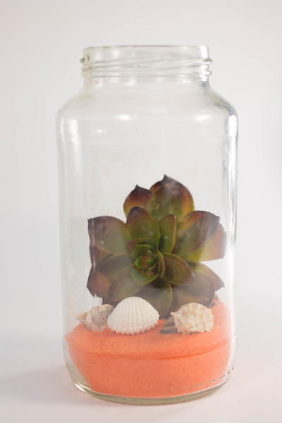 Colorful Recycled DIY Terrarium Colorful Recycled DIY Terrarium
